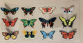 Butterflies