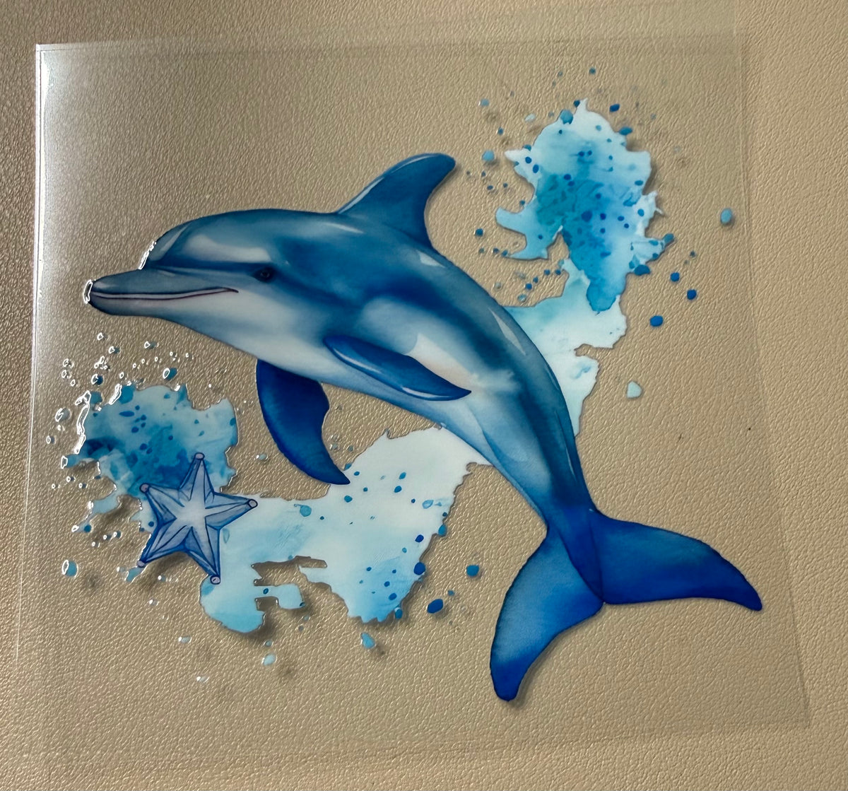 Dolphin