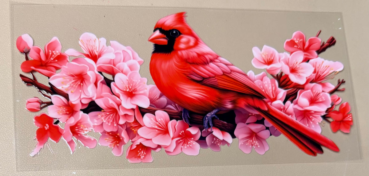 Cardinal