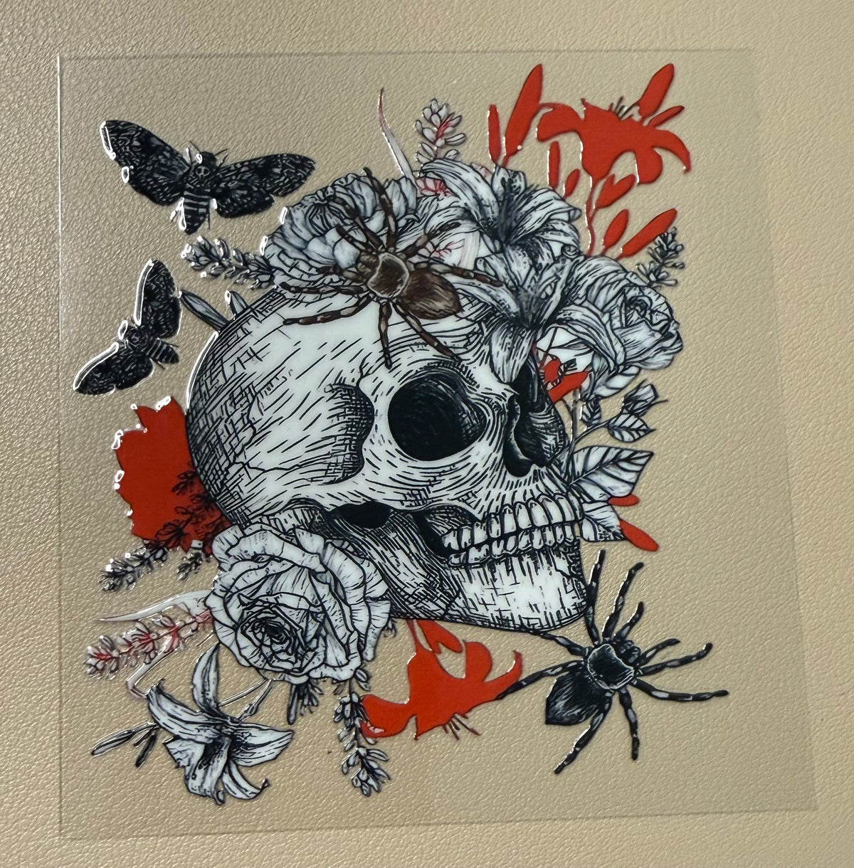 Skull