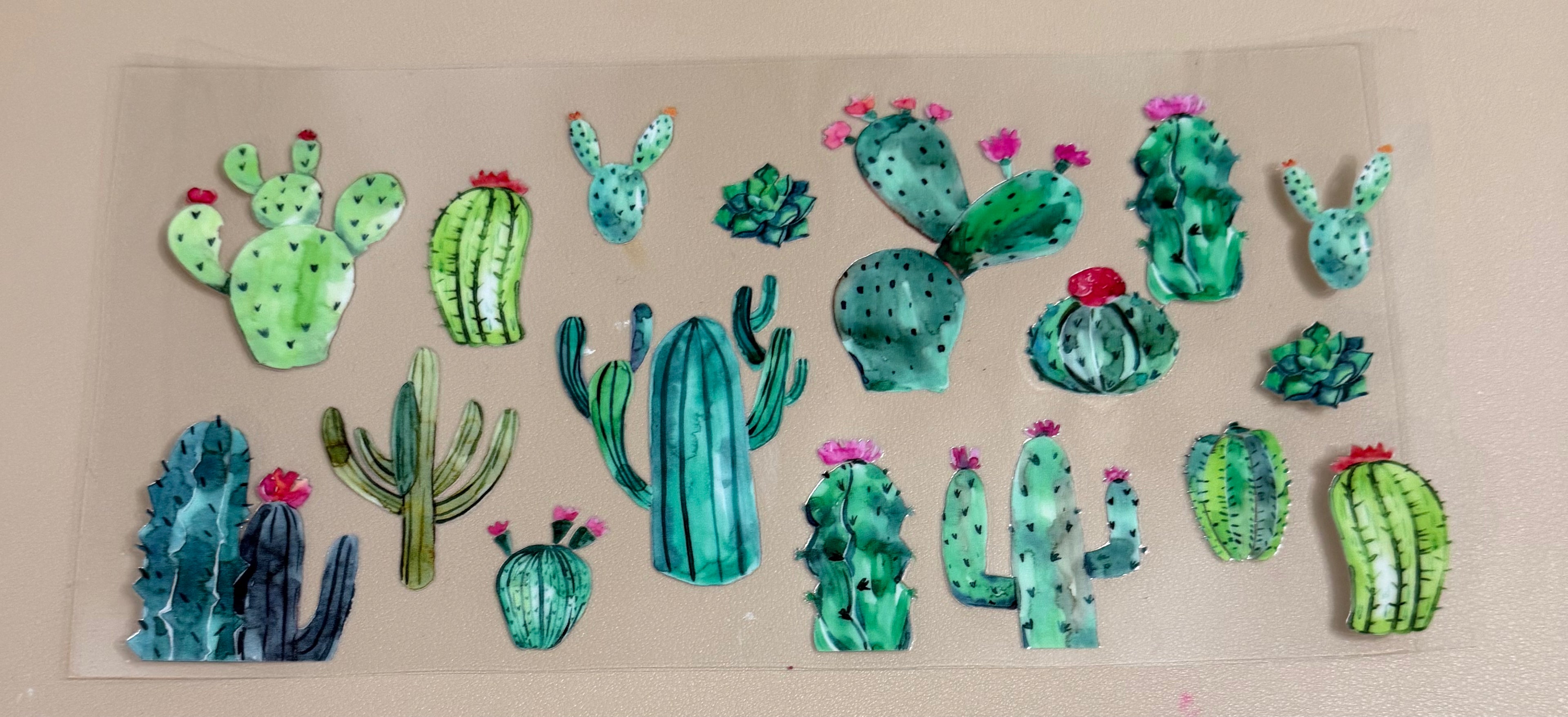 Cactus